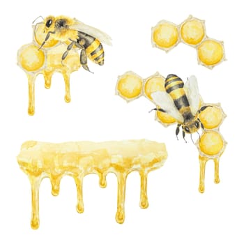 Watercolor illustration of honey and bees. Hand drawn and isolated on white background. Great for printing on fabric, postcards, invitations, menus, cosmetics, cooking books and others.