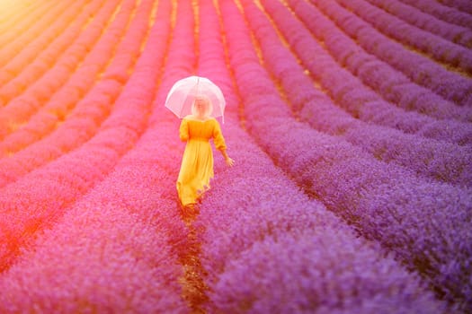 Woman lavender field. A middle-aged woman in a lavender field walks under an umbrella on a rainy day and enjoys aromatherapy. Aromatherapy concept, lavender oil, photo session in lavender.