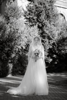 newlyweds walk in the city near old buildings against the backdrop of trees and pines