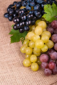 Bunches of fresh ripe red grapes on a wooden textural surface.