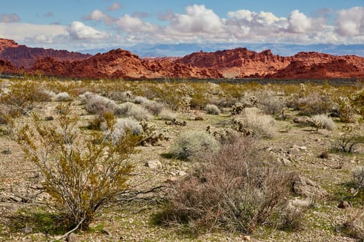 Valley of Fire is located 50 miles north of Las Vegas, Nevada.  Various shots depicting the rocky sandstone formations with some clouds and thunderstorms.