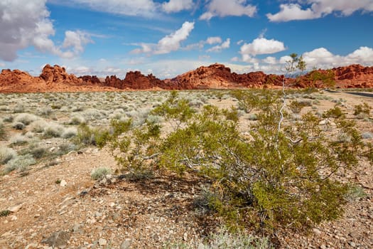 Valley of Fire is located 50 miles north of Las Vegas, Nevada.  Various shots depicting the rocky sandstone formations with some clouds and thunderstorms.