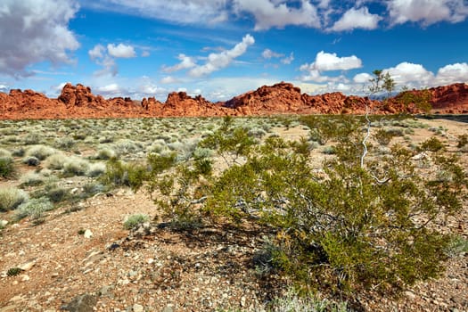 Valley of Fire is located 50 miles north of Las Vegas, Nevada.  Various shots depicting the rocky sandstone formations with some clouds and thunderstorms.