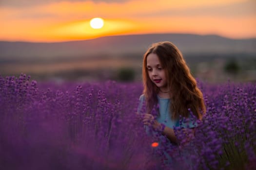 Girl lavender sunset. Girl in blue dress with flowing hair walk on the lavender field