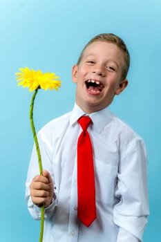 a happy first grader in a white shirt holds a flower in his hands and laughs. Cute Caucasian boy goes to school with flowers. Schoolboy. September 1, for the first time in first grade and, blue background, vertical photo