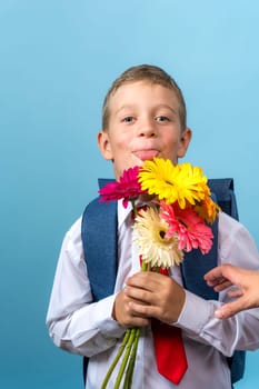 a funny first grader in a white shirt with a backpack holds a bouquet of flowers in his hands and cunningly looks out from behind the bouquet showing his tongue. Cute Caucasian boy goes to school. Schoolboy. September 1st. for the first time in the first grade. blue background. vertical photography