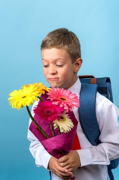 a funny first grader in a white shirt with a backpack holds a bouquet of flowers in his hands and frowns discontentedly looking at the bouquet. Cute Caucasian boy doesn't want to go to school. Schoolboy. September 1st. for the first time in the first grade. blue background. vertical photography