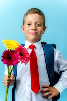 a happy first grader in a white shirt with a backpack holds a bouquet of flowers in his hands. Cute Caucasian boy goes to school with a bouquet of flowers and a backpack. Schoolboy. September 1, for the first time in first grade and, blue background, vertical photo