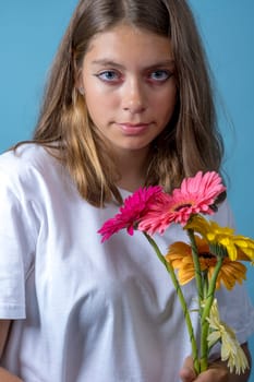 portrait of a pretty Caucasian girl with gerbera flowers on a blue background. A teenage girl in a white T-shirt with brown hair holds flowers and looks at the camera