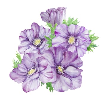 Watercolor hand drawn purple anemones with green leaves isolated on white background. Great for greeting cards, wedding invitations, menu, labels, textile and others.