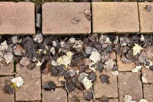 Group of dried leaves on a rectangular flagstone pathway. Autumn, straight and parallel lines, empty, dry, dead space,