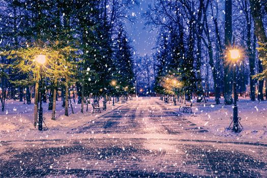 Snowfall in a winter park at night with christmas decorations, lights and  pavement covered with snow. Falling snow.