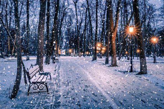 Snowfall in a winter park at night with christmas decorations, lights and  pavement covered with snow. Falling snow.