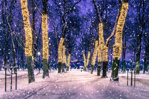 Snowfall in a winter park at night with christmas decorations, lights, pavement covered with snow and trees with garlands.