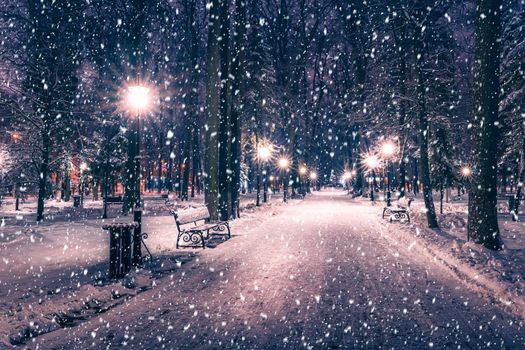 Snowfall in a winter park at night with christmas decorations, lights and  pavement covered with snow. Falling snow.