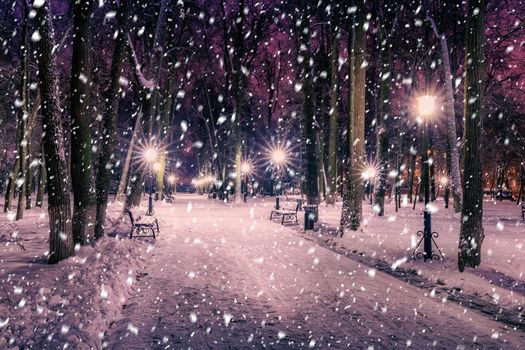 Snowfall in a winter park at night with christmas decorations, lights and  pavement covered with snow. Falling snow.