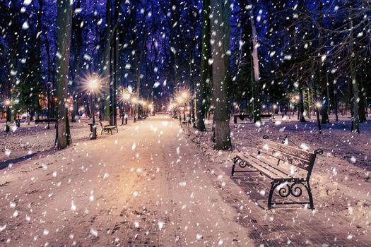 Snowfall in a winter park at night with christmas decorations, lights and  pavement covered with snow. Falling snow.