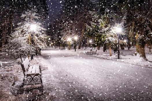 Snowfall in a winter park at night with christmas decorations, lights and  pavement covered with snow. Falling snow.