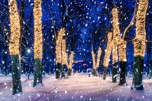 Snowfall in a winter park at night with christmas decorations, lights, pavement covered with snow and trees with garlands.