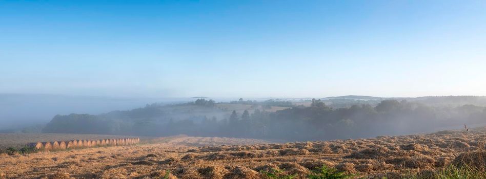 rural countryside landscape of central brittany near Parc naturel régional d'Armorique on early misty summer morning in france