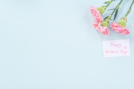 Beautiful, elegant pink carnation flower over bright light blue table background, concept of Mother's Day flower gift, top view, flat lay, overhead