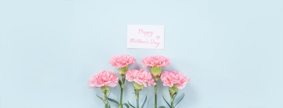 Beautiful, elegant pink carnation flower over bright light blue table background, concept of Mother's Day flower gift, top view, flat lay, overhead