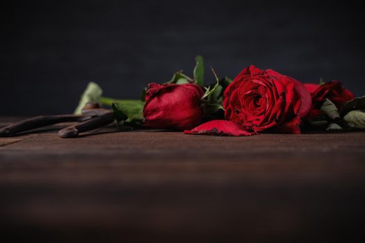 Withered rose on dark gray background and wooden table with fall petals and leaves, design concept of sad Valentine's day romance, broken up, copy,space.