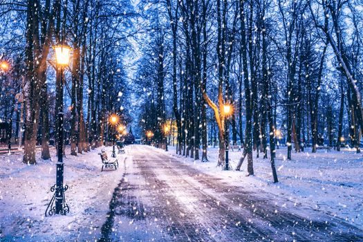 Snowfall in a winter park at night with christmas decorations, lights and  pavement covered with snow. Falling snow.