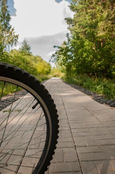 Closeup on wheel with spokes. Healthy lifestyle and sport concept   bicycle wheel