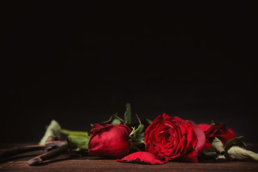 Withered rose on dark gray background and wooden table with fall petals and leaves, design concept of sad Valentine's day romance, broken up, copy,space.