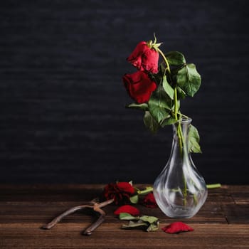 Withered rose on dark gray background and wooden table with fall petals and leaves, design concept of sad Valentine's day romance, broken up, copy,space.