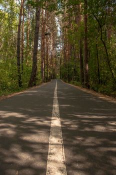 An asphalt road with markings runs through the forest in summer day