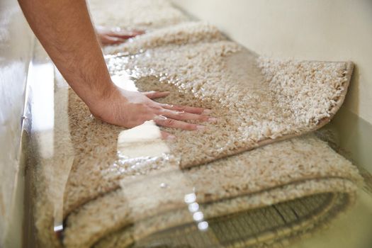 Dirty carpet soaking in special chemical liquid in carpet cleaning service
