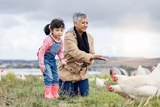 Family, agriculture and chicken, grandmother and child on farm in Mexico, feeding livestock with poultry and farming. Senior woman, girl and farmer on field in countryside, nutrition and sustainable.