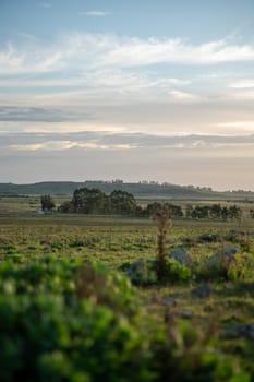 Sunset on sunny day in the countryside of Uruguay.