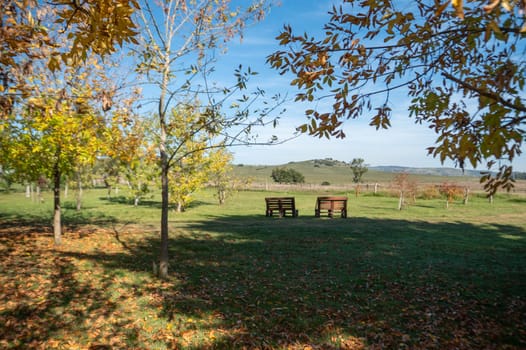 Sunset on sunny day in the countryside of Uruguay.