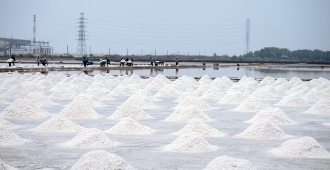 Sea salt farm in Thailand. Brine salt. Raw material of salt industrial. Sodium Chloride. Evaporation and crystallization of sea water. Worker working on a farm. Salt harvesting. Agriculture industry.