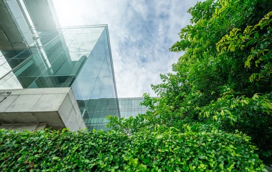 Sustainble green building. Eco-friendly building in modern city. Sustainable glass office building with tree for reducing carbon dioxide. Office with green environment. Corporate building reduce CO2.