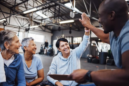 Senior women, fitness and personal trainer high five for health, routine and workout at a gym. Exercise, elderly and friends with health coach man hands connecting in support of goal collaboration.