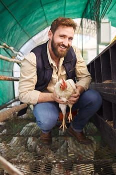 Man, chicken farmer and portrait with bird for eggs, protein or organic meat product in agriculture industry. Farming, poultry expert or inspection of animal for health, wellness or sustainability.