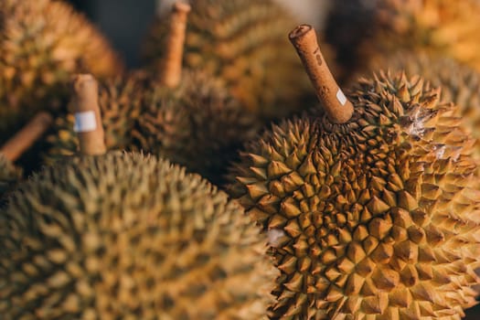 Close up photo of durian fruit at the market. Exotic fresh natural fruits, healthy ripe tropical food