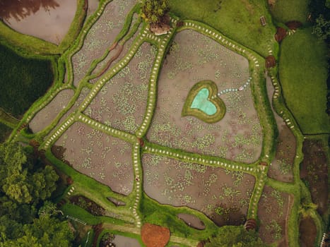 Aerial view of rice terraces with small heart shaped lake on Bali, Indonesia.