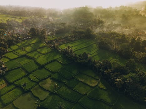 Aerial view of Tegallalang Bali rice terraces. Tropical landscape on Bali, Indonesia