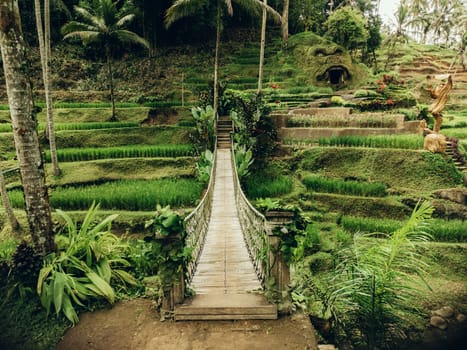 Aerial view of Bali rice terraces bridge on Bali, Indonesia.