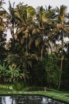 Tropical lake surrounded by jungle palms.