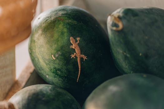 Close up shot of small lizard on watermelon. Stack of watermelon at the market, fresh juicy summer fruit