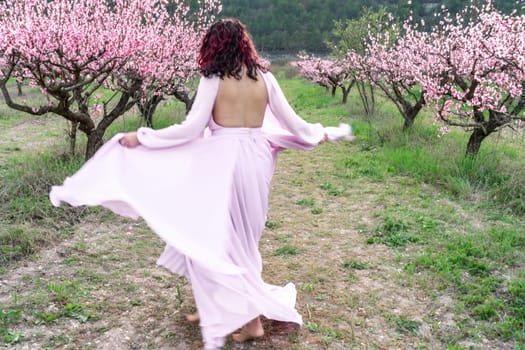 woman blooming peach orchard. A woman in a long pink dress walks in the park, in a peach orchard. Large blooming peach orchard.