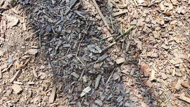 Abstract background and texture of sawdust and pieces of wood. Texture, pattern, frame, copy space. Brown or grey mulch used for gardening, landscape decoration