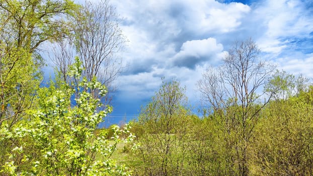 Dark, stormy and rainy clouds over green trees on spring or summer day