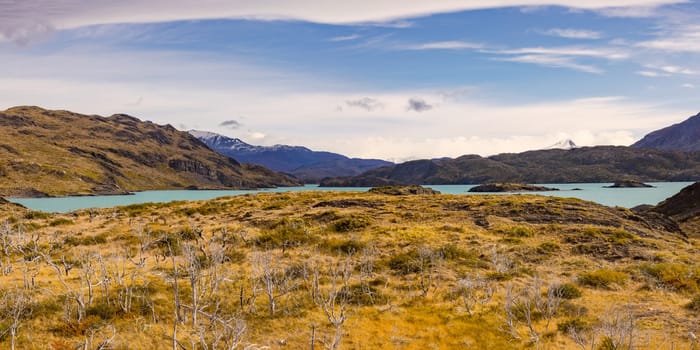 Lonely grassland at Lago Nordernskjold in Torres del Paine National Park in Patagonia, Chile, South America